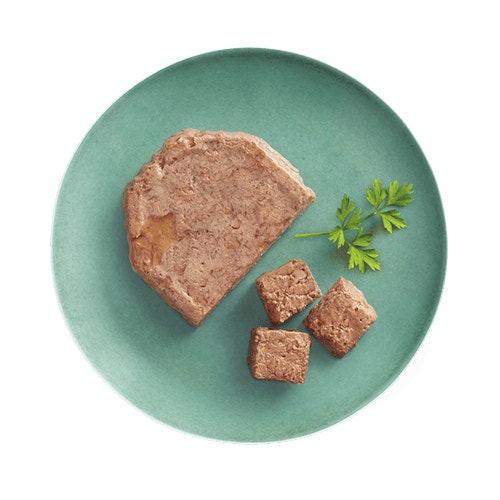 soup plate