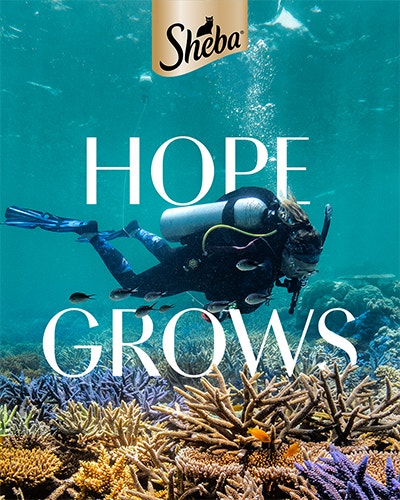 Hope grows