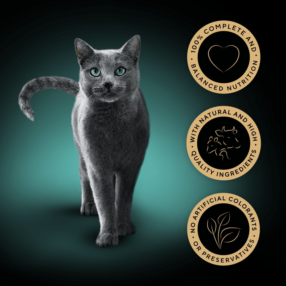 SHEBA® Select Slices Adult Wet Cat Food Succulent Selection Gravy 12x85g Pouch - 3