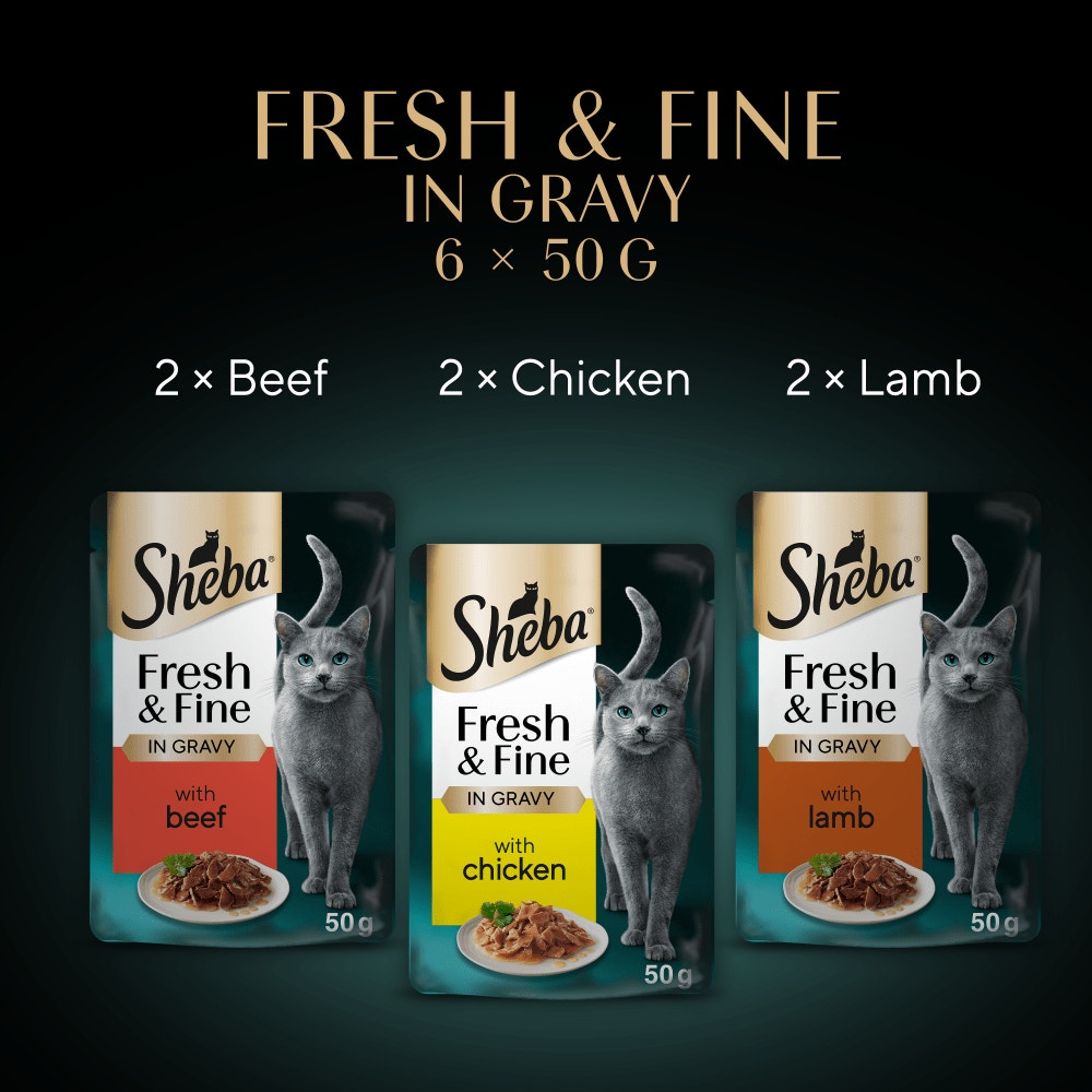 SHEBA® Fresh & Fine Adult Wet Cat Food Beef & Chicken Gravy 6 x 50g Pouches - 6