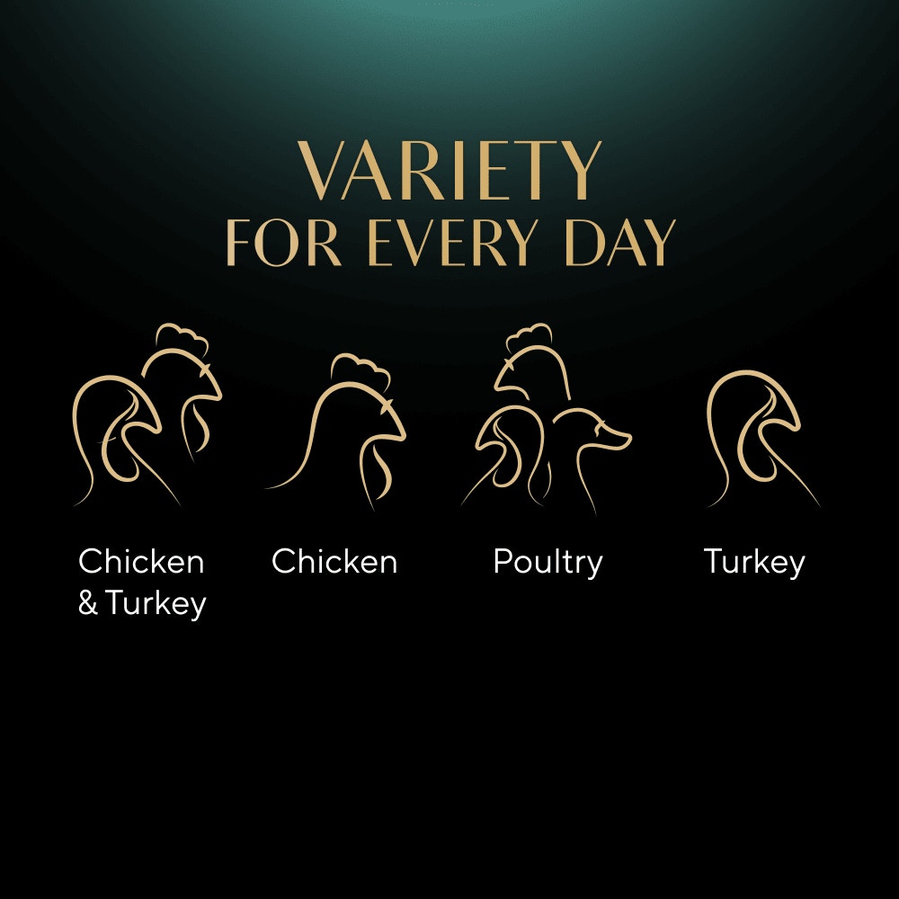 SHEBA® Select Slices Trays Poultry Selection in Gravy 8 & 32 x 85g - 4