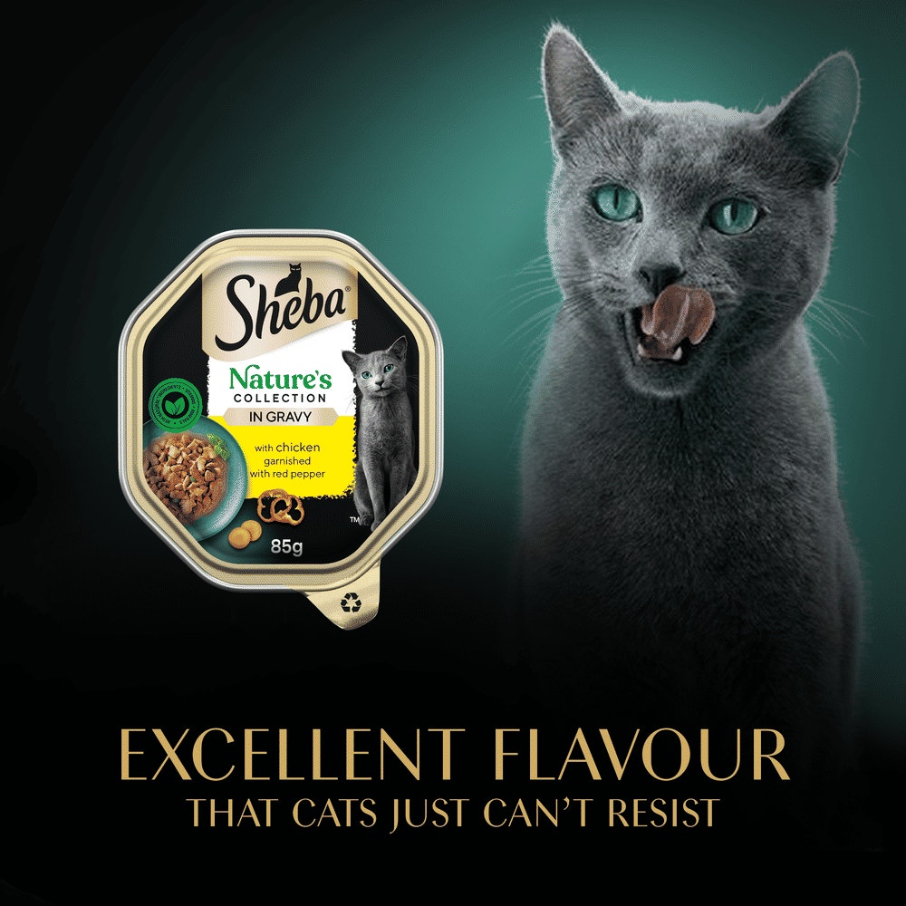 SHEBA® Nature's Collection Adult Cat Food with Chicken in Gravy 85g Tray - 6