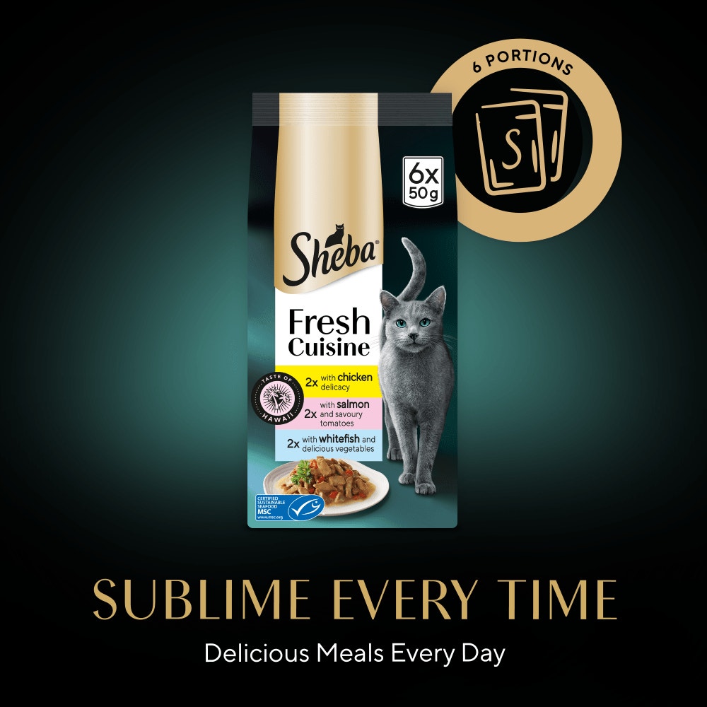 SHEBA® Fresh Cuisine Taste of Hawaii Wet Cat Food Fish in Gravy 6x50g Pouch - 4
