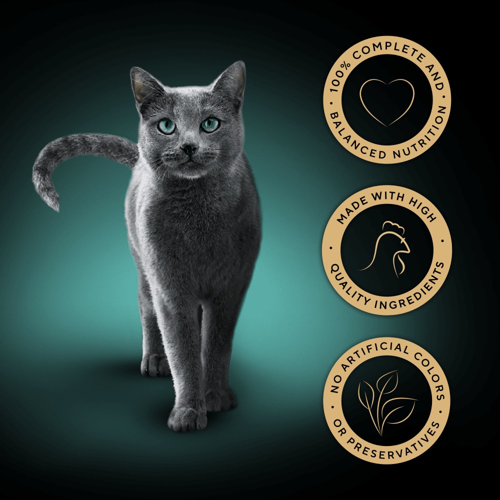 SHEBA® Select Slices Adult Wet Cat Food with Chicken in Gravy 85g Tray - 3
