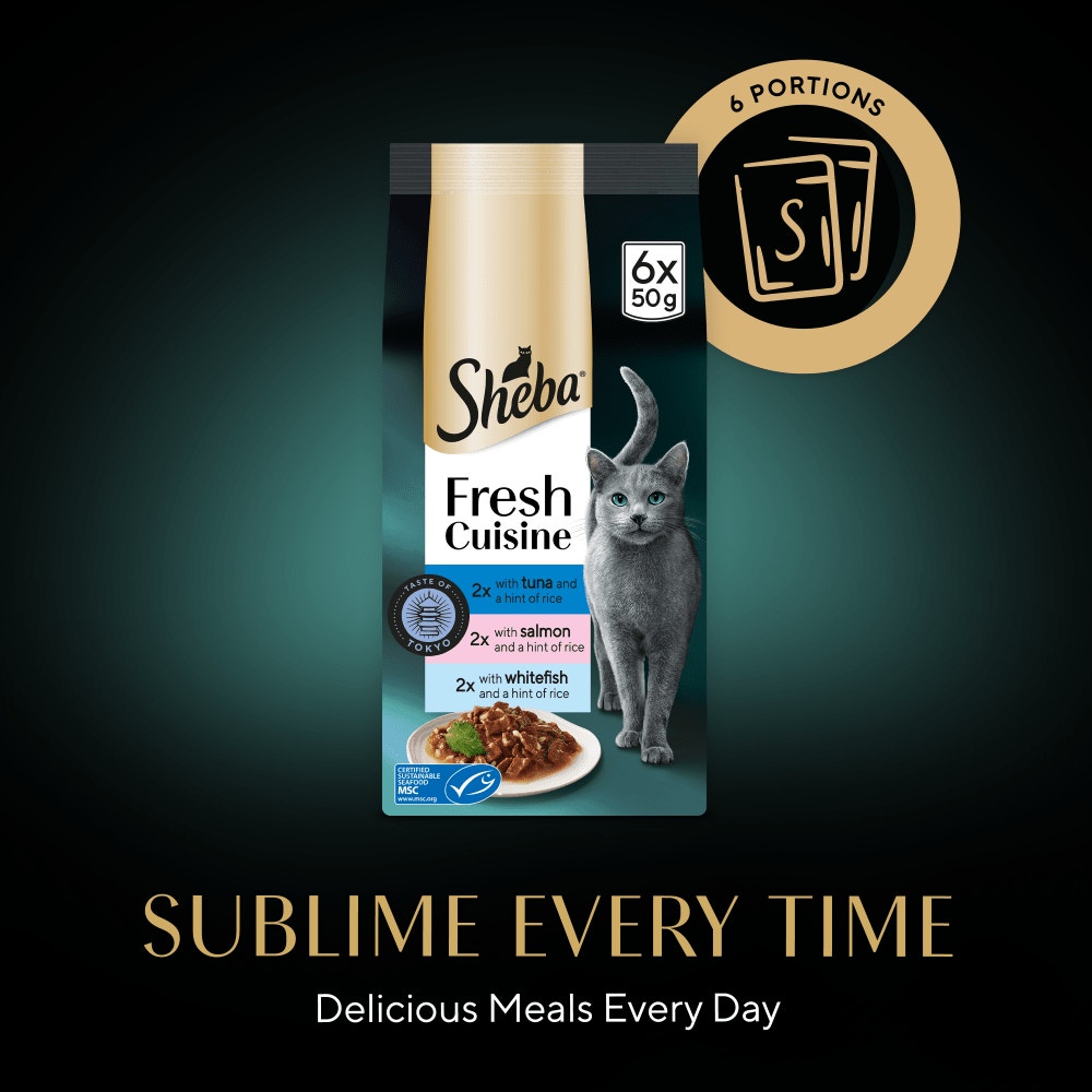 SHEBA® Fresh Cuisine Taste of Tokyo Wet Cat Food Fish in Gravy 6x50g Pouch - 4