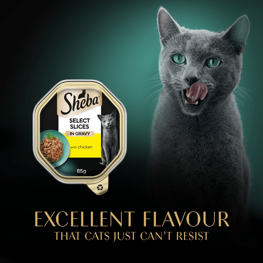 SHEBA® Select Slices Adult Wet Cat Food with Chicken in Gravy 85g Tray - 6