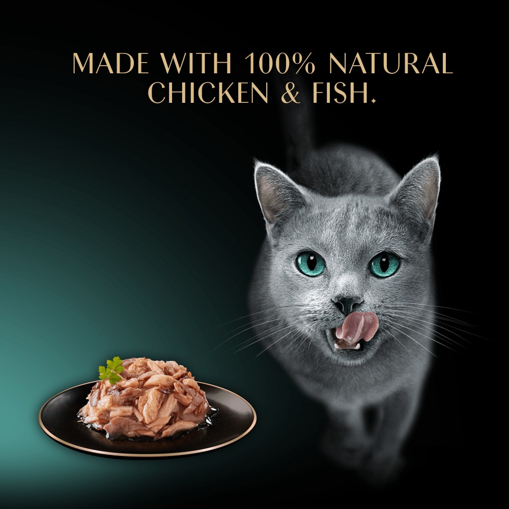 SHEBA Filets Adult Wet Cat Food With Poultry & Fish 6 x 60g Tray - 4