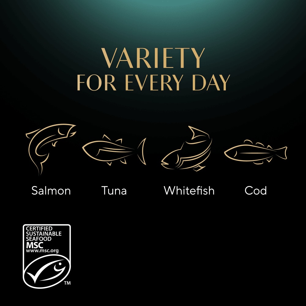 SHEBA® Fine Flakes Fish Selection in Jelly 12 & 40 & 80 x 85g - 4