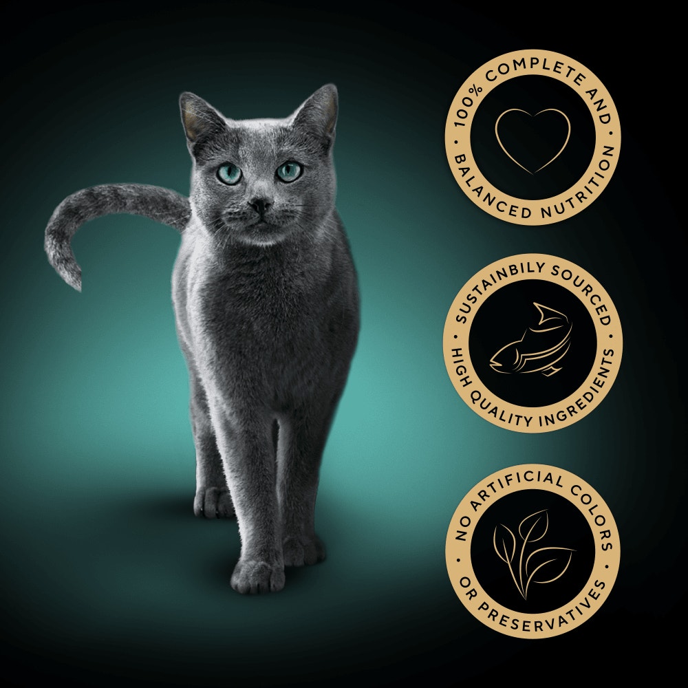SHEBA® Classics Adult Cat Food with Salmon in Terrine 8 x 85g Tray - 3