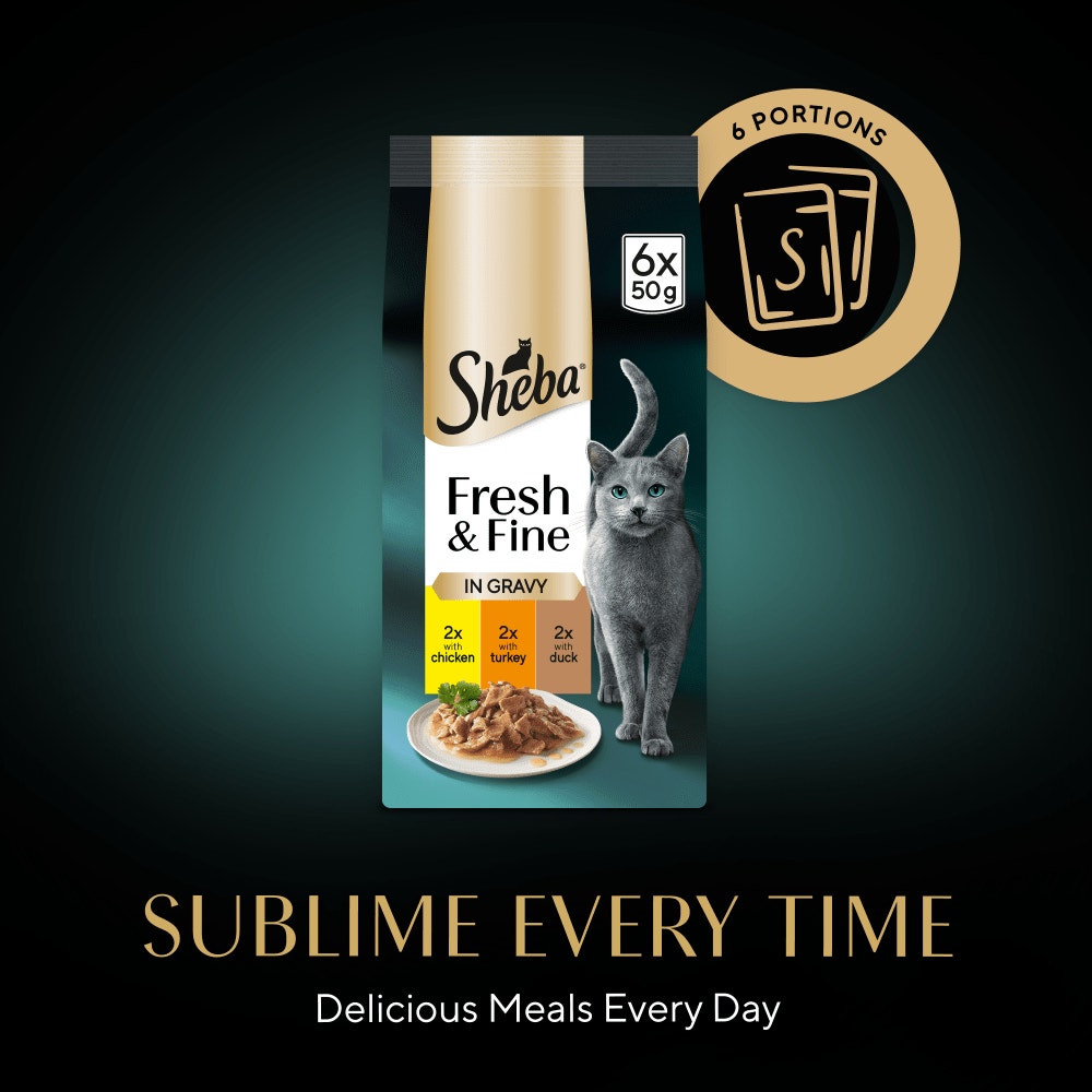 SHEBA® Fresh & Fine Adult Wet Cat Food Chicken &Turkey Gravy 6x50g Pouches - 4