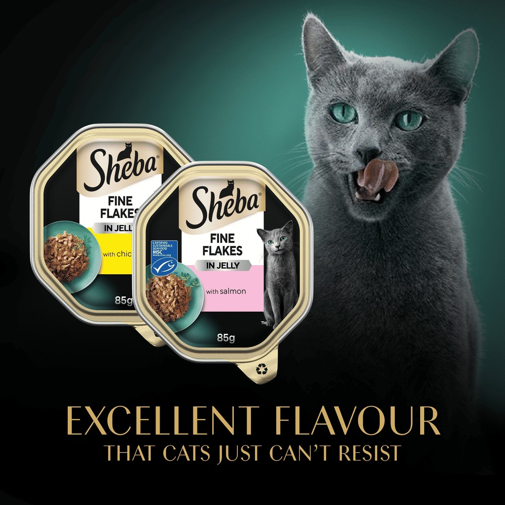 SHEBA® Fine Flakes Adult Wet Cat Food Mixed Selection in Jelly 8 x 85g Tray - 6