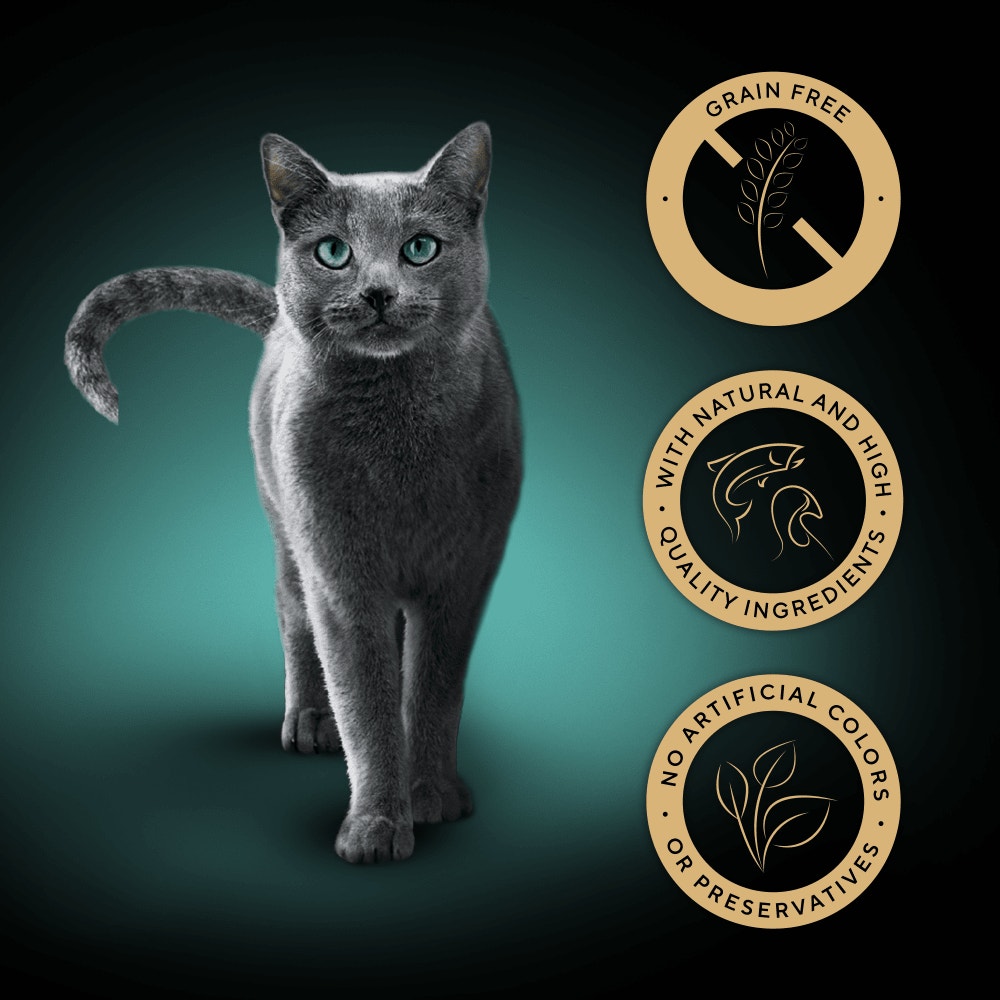 SHEBA® Nature's Collection Adult Wet Cat Food Mixed in Gravy 40 x 85g Pouch - 3