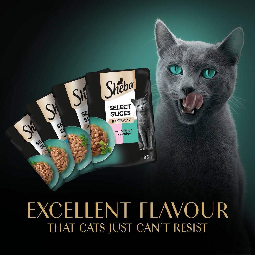 SHEBA® Select Slices Adult Wet Cat Food Fish Selection in Gravy 12 x 85g Pouch - 6