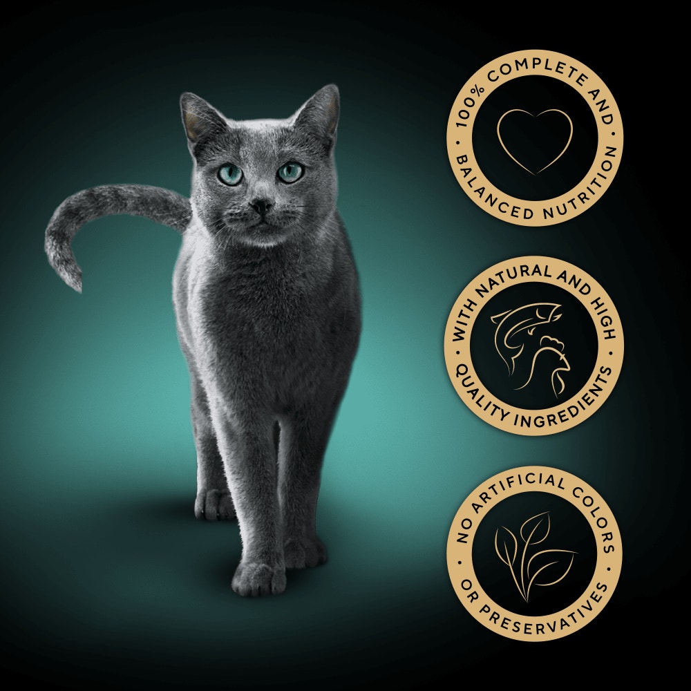 SHEBA® Fine Flakes Adult Wet Cat Food Mixed Selection in Jelly 8 x 85g Tray - 3