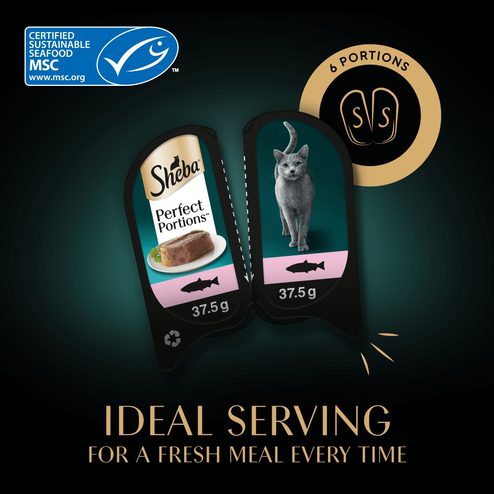SHEBA® PERFECT PORTIONS™ Adult Wet Cat Food Salmon Loaf 3 x 2 x 37.5g Tray - 4