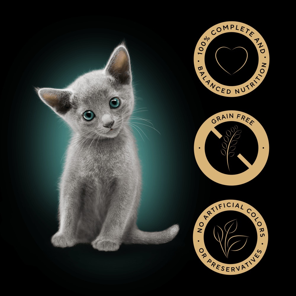 SHEBA® Mixed Selection Kitten Food in Gravy 12 & 40 x 85g - 3