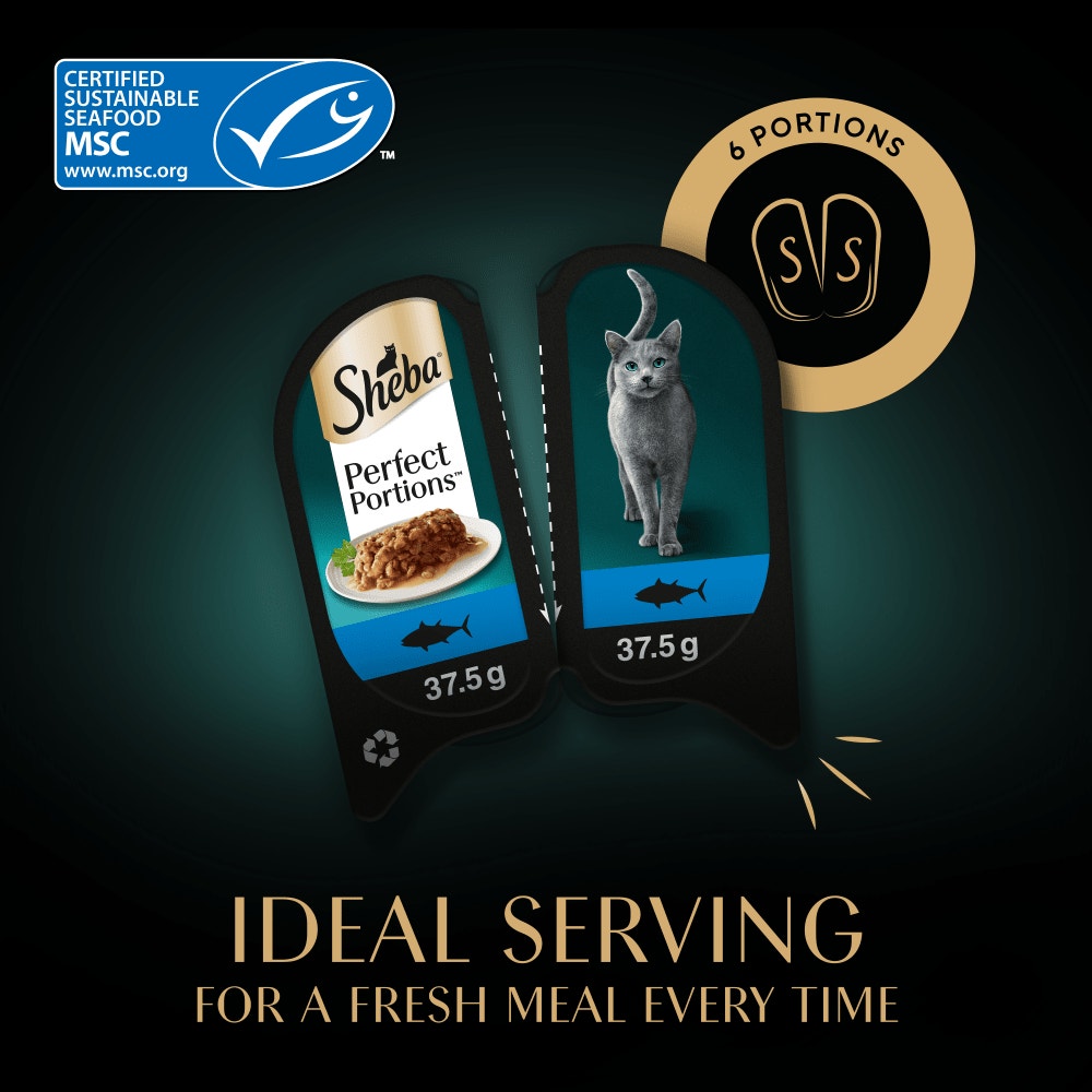 SHEBA® PERFECT PORTIONS™ Adult Wet Cat Food  Tuna Chunks 3 x (2x37.5g) Tray - 4