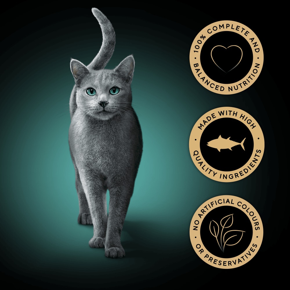 SHEBA® PERFECT PORTIONS™ Adult Wet Cat Food  Tuna Chunks 3 x (2x37.5g) Tray - 3
