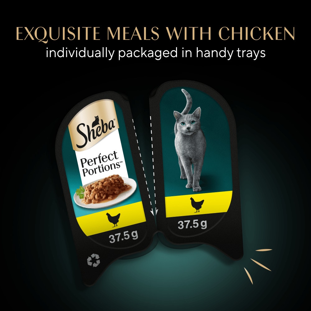 SHEBA® PERFECT PORTIONS™ Adult Wet Cat Food Chicken Loaf 3 x 2 x 37.5g Tray - 6