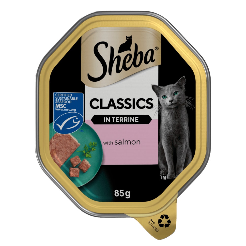 SHEBA® Classics Wet Cat Food Tray Salmon in Terrine 85g - 1