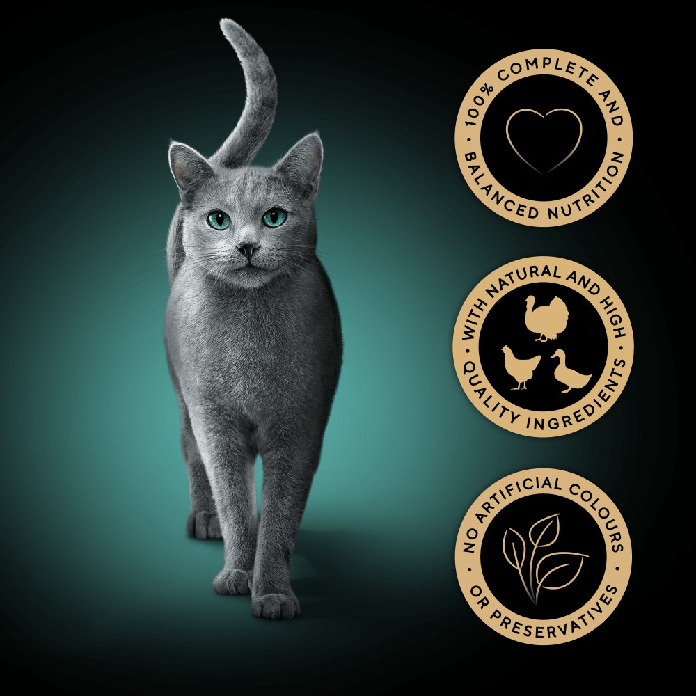 SHEBA® Fresh & Fine  Adult Wet Cat Food Poultry In Gravy Pouches 50x50g,15x50g,6x50g - 3