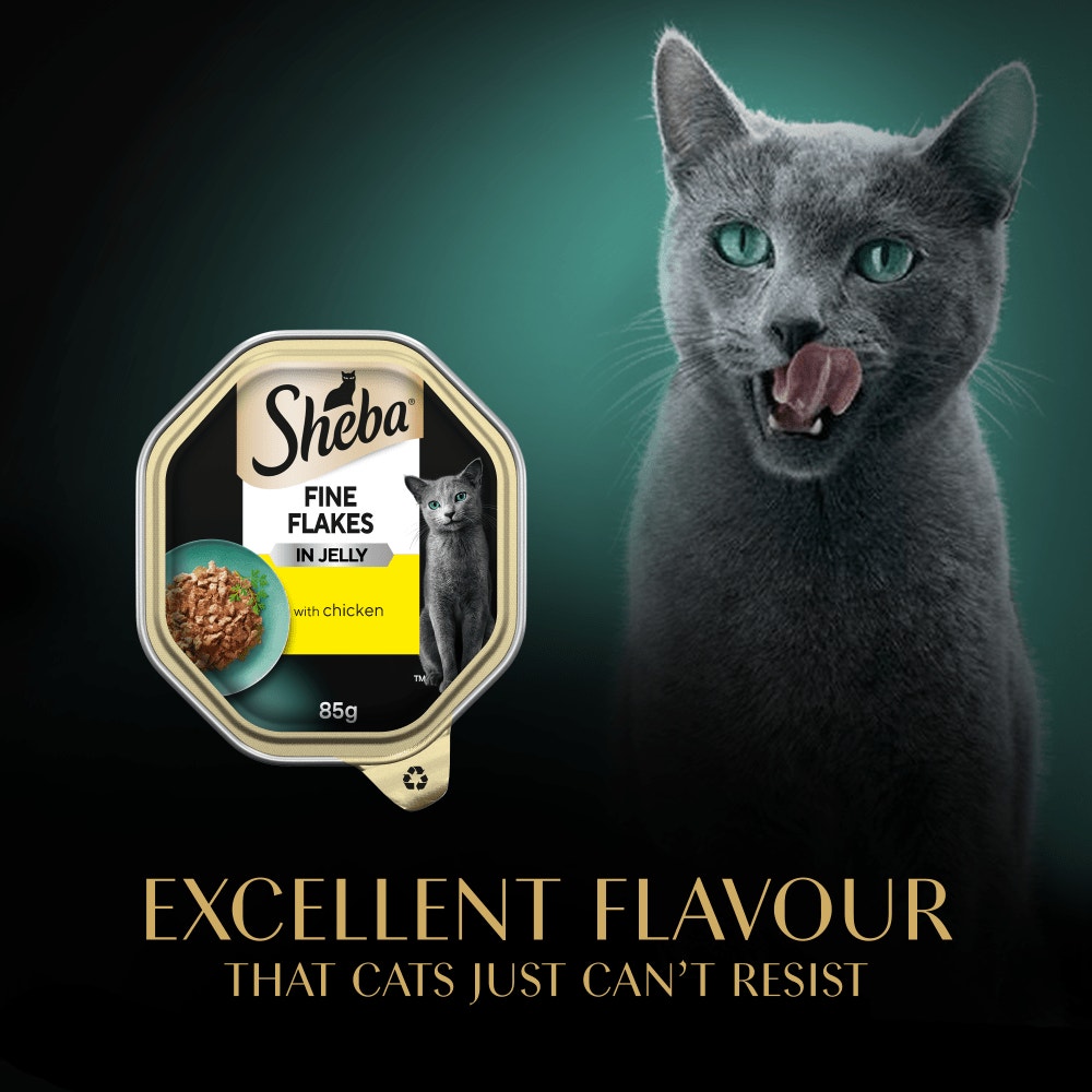 SHEBA® Fine Flakes Adult Cat Food with Chicken in Jelly 85g Tray - 6