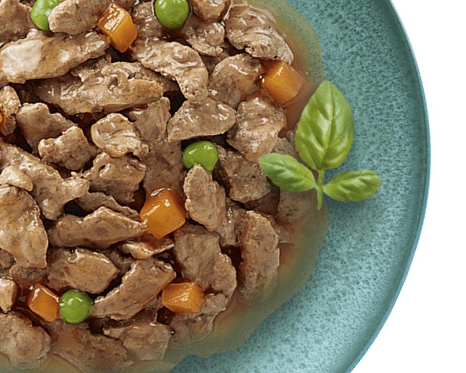 Good food in every sense