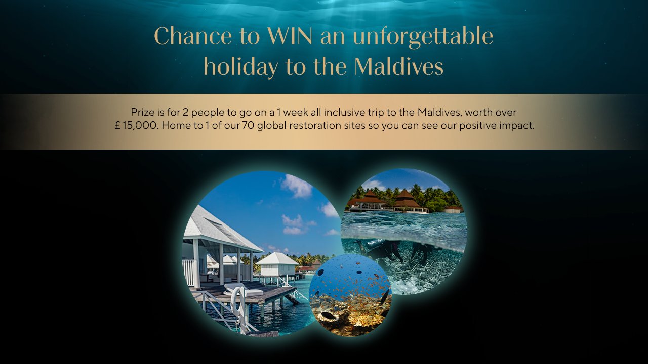 Coral Reef Restoration Popup banner