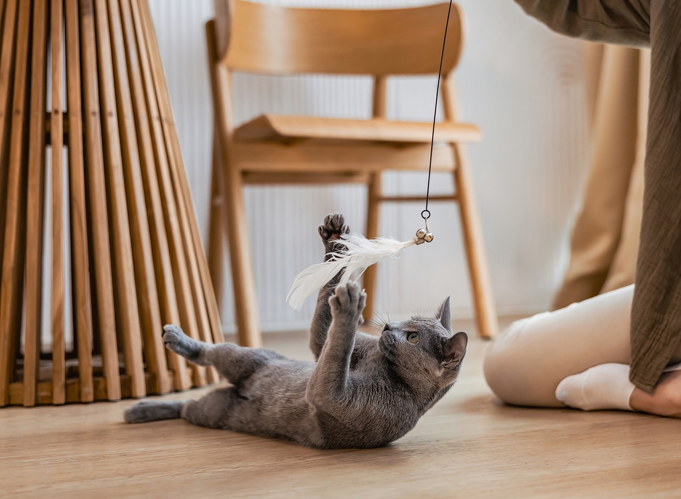 Make Playtime a Daily Ritual