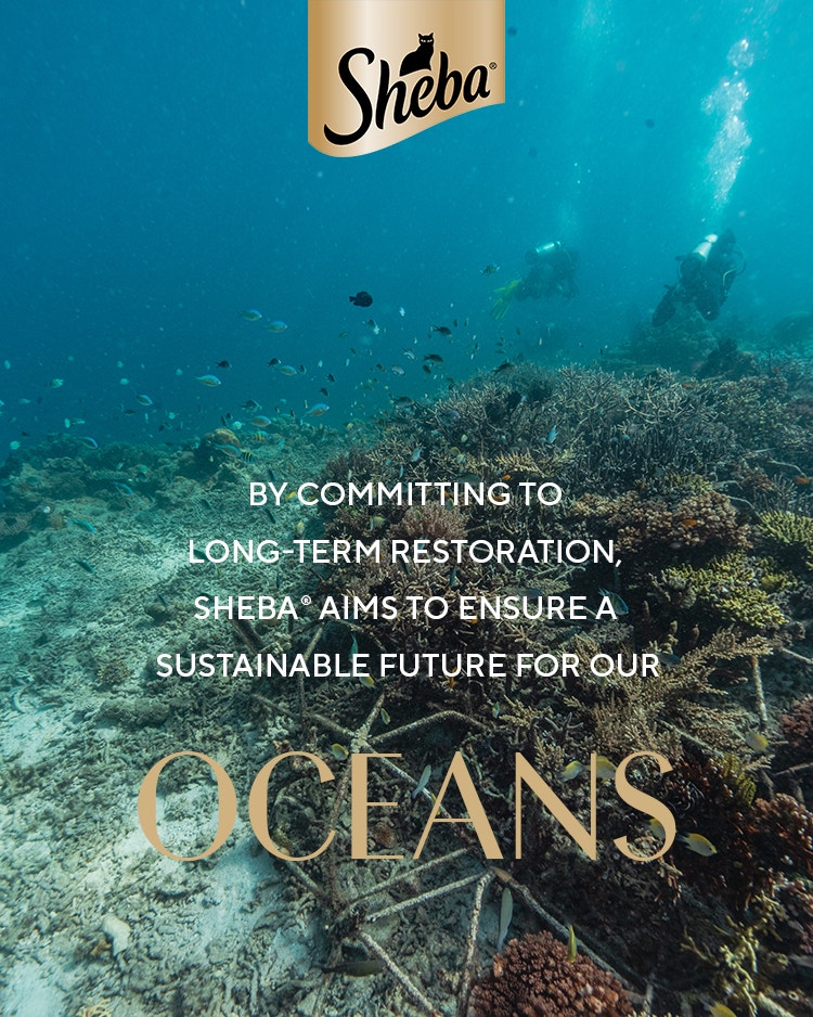 OCEANS
