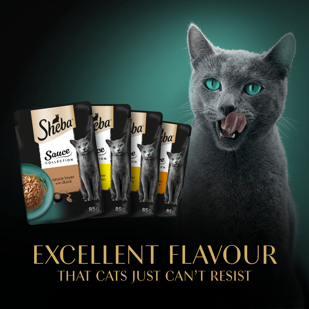 SHEBA® Sauce Collection Adult Cat Food  Poultry Selection 12 x 85g Pouch - 6