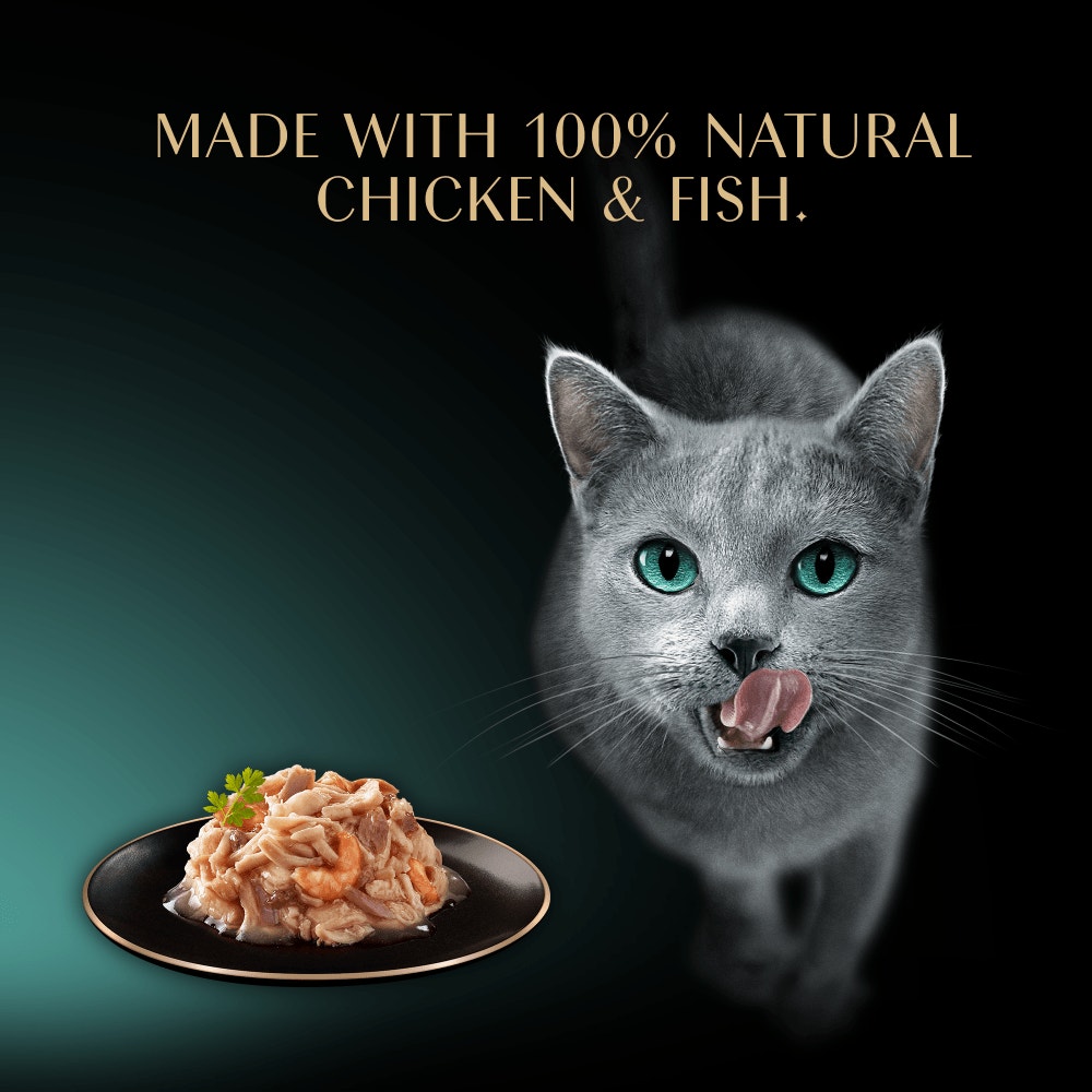 SHEBA Filets Adult Cat Food With Chicken,Fish & Shrimp in gravy 60g Tray - 4