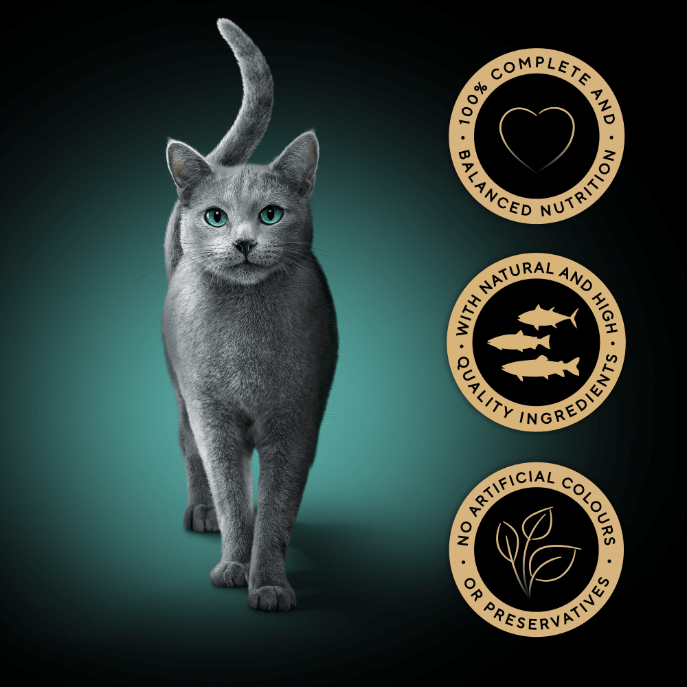 SHEBA® Fresh & Fine Adult Wet Cat Food Salmon, Tuna & Trout in Gravy 6 x 50g Pouches - 3