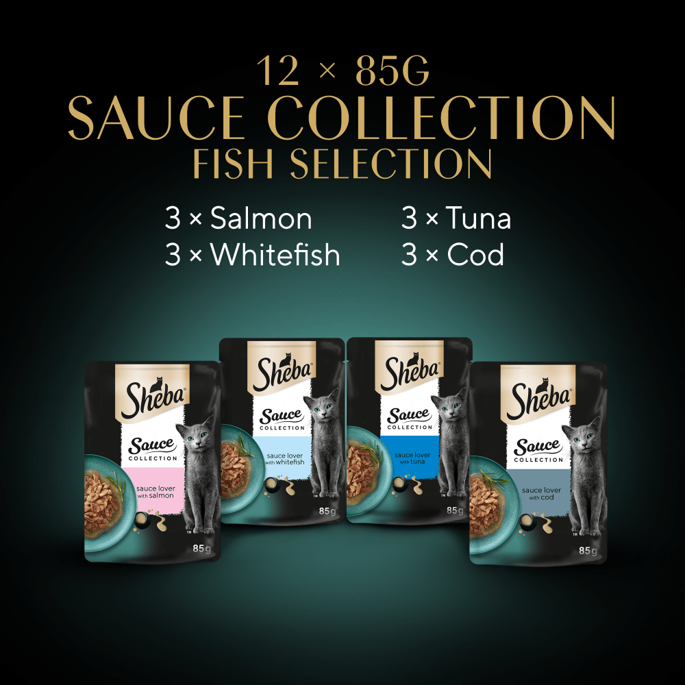SHEBA® Sauce Collection Fish Selection 12 & 40 x 85g - 6
