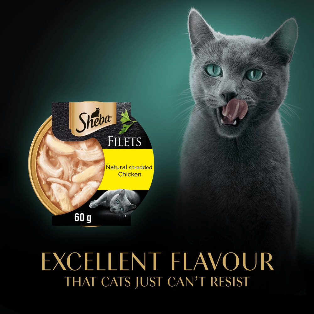 SHEBA® Fillets Adult Cat Food with Chicken in Gravy 60g Tray - 5
