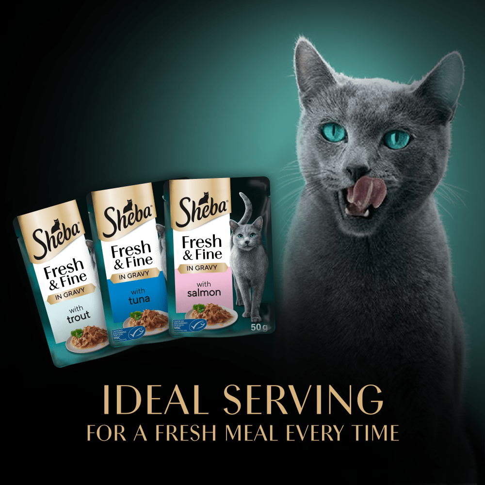 SHEBA® Fresh & Fine Adult Wet Cat Food Salmon, Tuna & Trout in Gravy 6 x 50g Pouches - 5