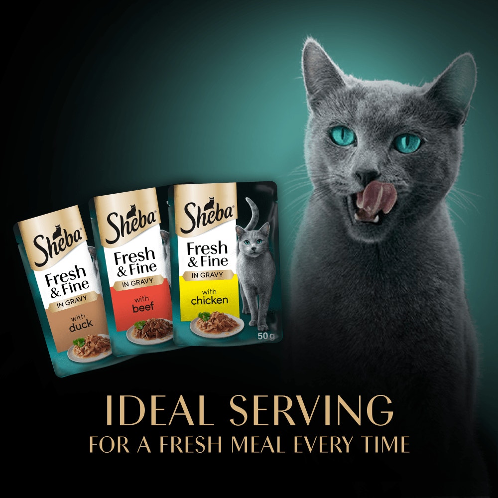 SHEBA® Fresh & Fine Adult Wet Cat Food Meaty Pieces In Gravy 50x50g Pouches - 4