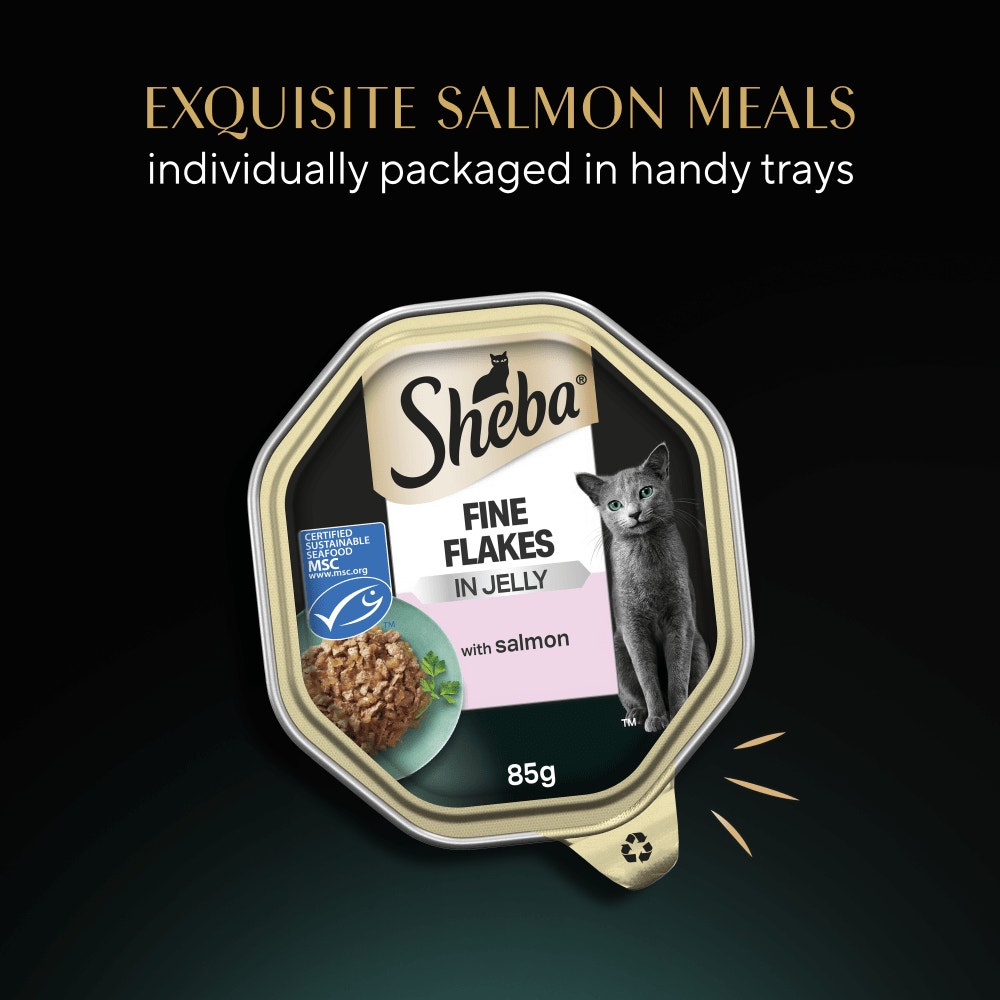 SHEBA® Fine Flakes Adult Wet Cat Food with Salmon Jelly 85g Tray - 6