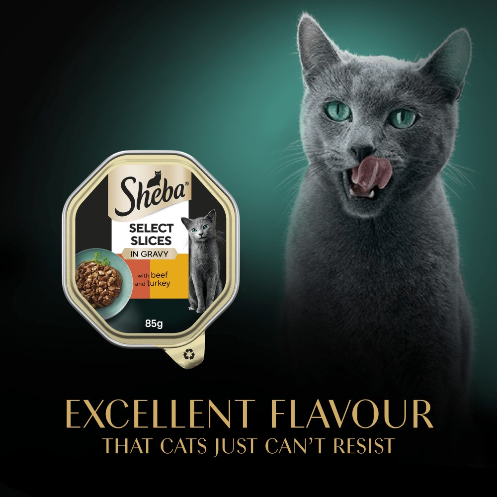SHEBA® Select Slices Adult Cat Food with Beef & Turkey in Gravy 85g Tray - 6