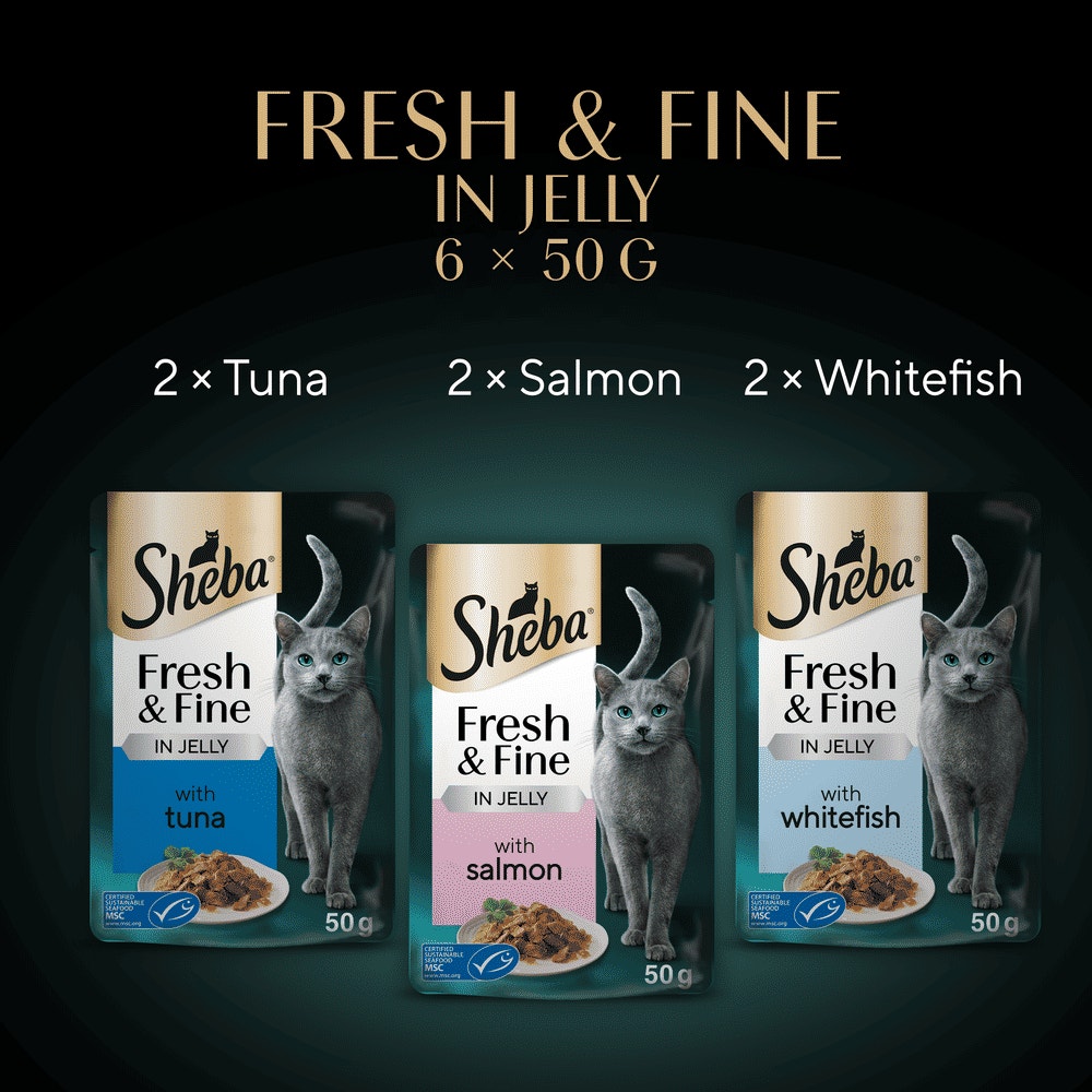 SHEBA® Fresh & Fine Adult Wet Cat Food Tuna & Salmon in Jelly 6x50g Pouches - 6