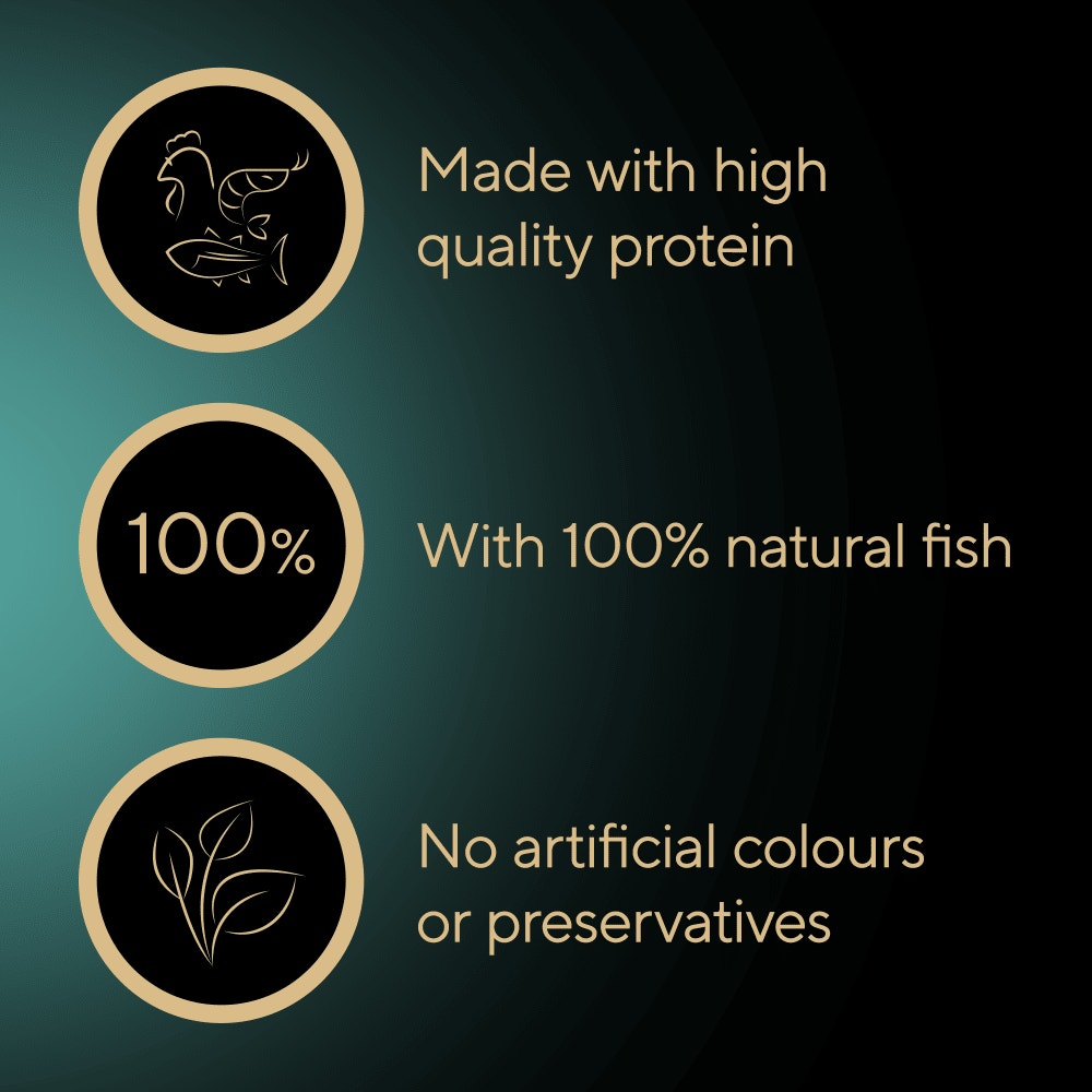 SHEBA Filets Adult Cat Food With Whitefish in gravy 60g Tray - 3