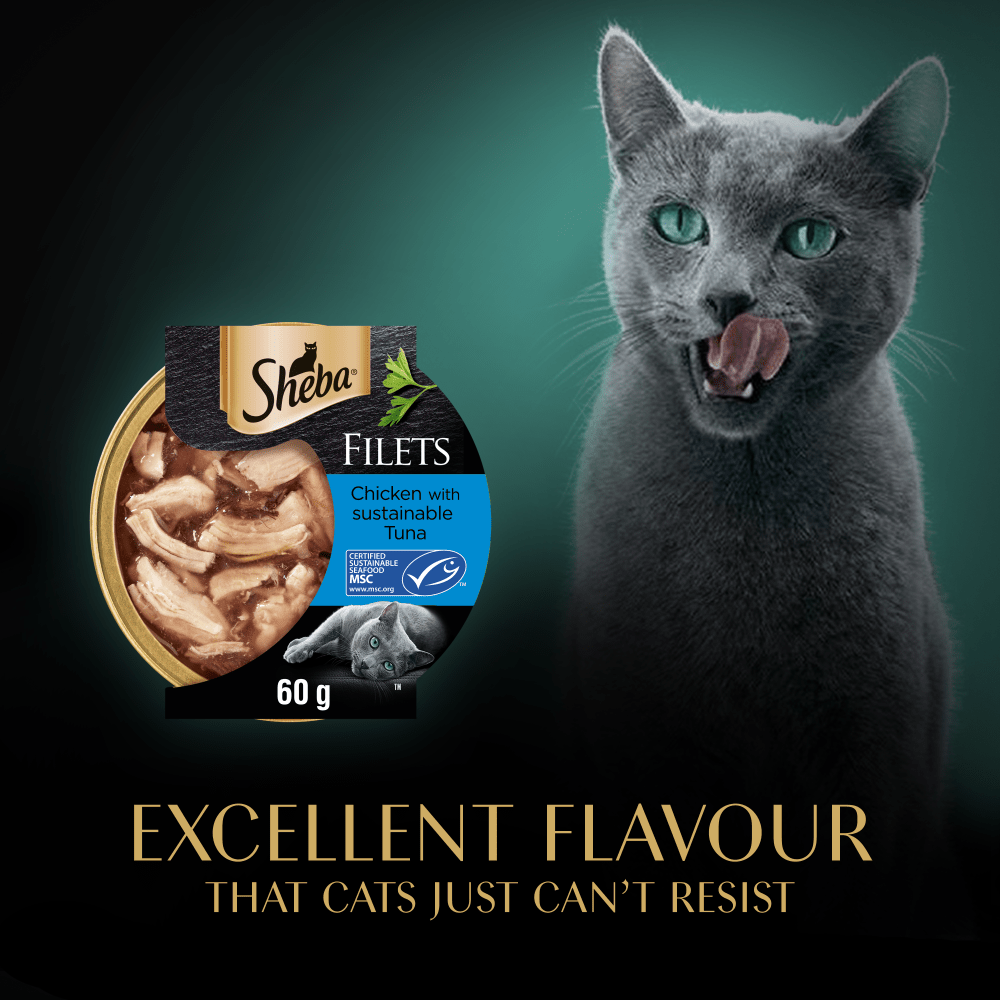 SHEBA® Fillets Adult Cat Food with Chicken and Tuna in Gravy 60g Tray - 5