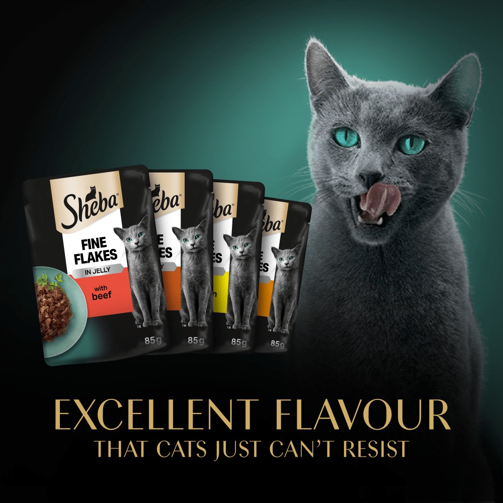SHEBA® Fine Flakes Adult Wet Cat Food Succulent Selection in Jelly 12x85g Pouch - 6
