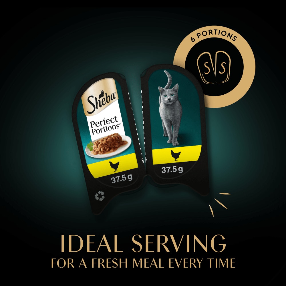 SHEBA® PERFECT PORTIONS™ Adult Wet Cat Food Chicken Loaf 3 x 2 x 37.5g Tray - 5