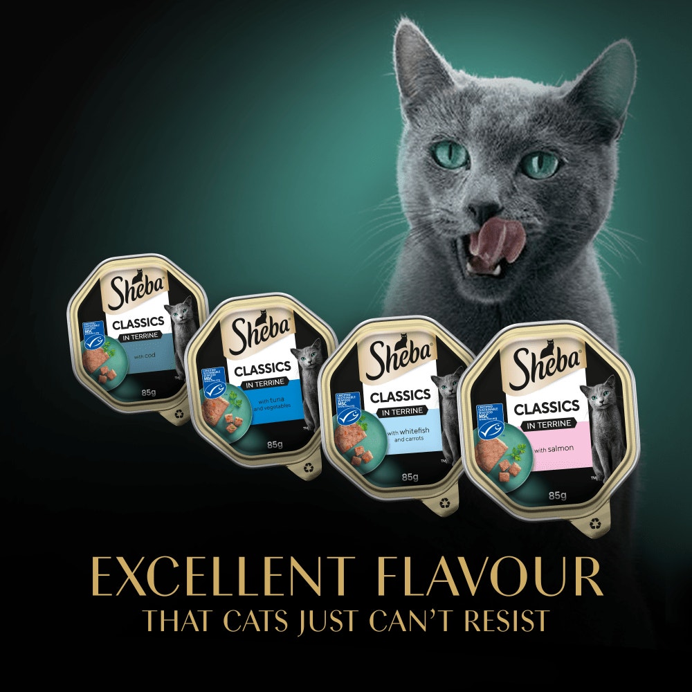 SHEBA® Classics Adult Wet Cat Food Ocean Selection in Terrine 32 x 85g Tray - 6
