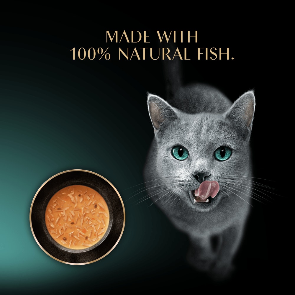 SHEBA Soup Adult Wet Cat Food Pouch with Tuna 4 x 40g - 4