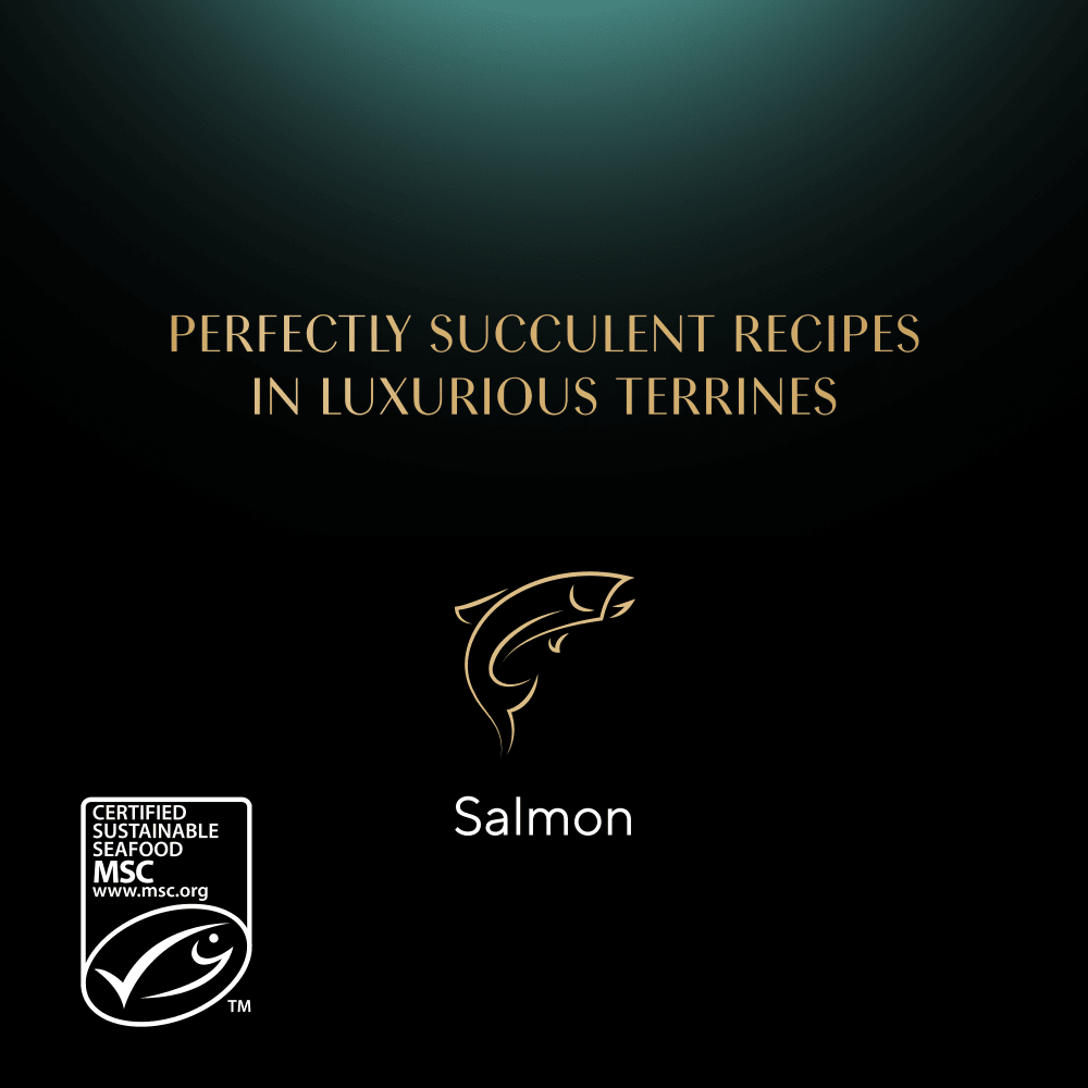 SHEBA® Classics Wet Cat Food Tray Salmon in Terrine 85g - 5