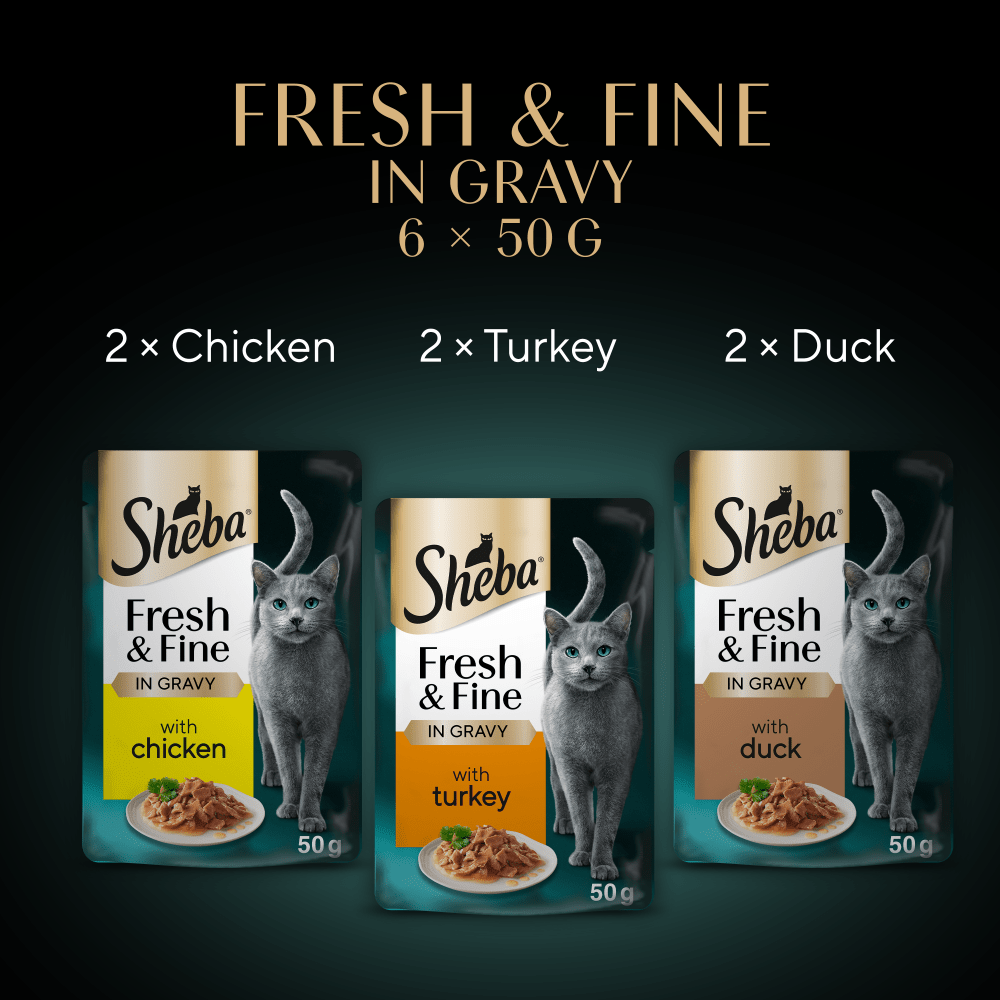 SHEBA® Fresh & Fine Adult Wet Cat Food Chicken &Turkey Gravy 6x50g Pouches - 6