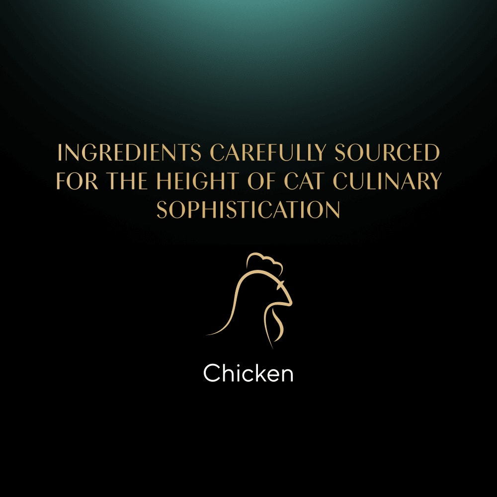 SHEBA® Fillets Adult Cat Food with Chicken in Gravy 60g Tray - 6