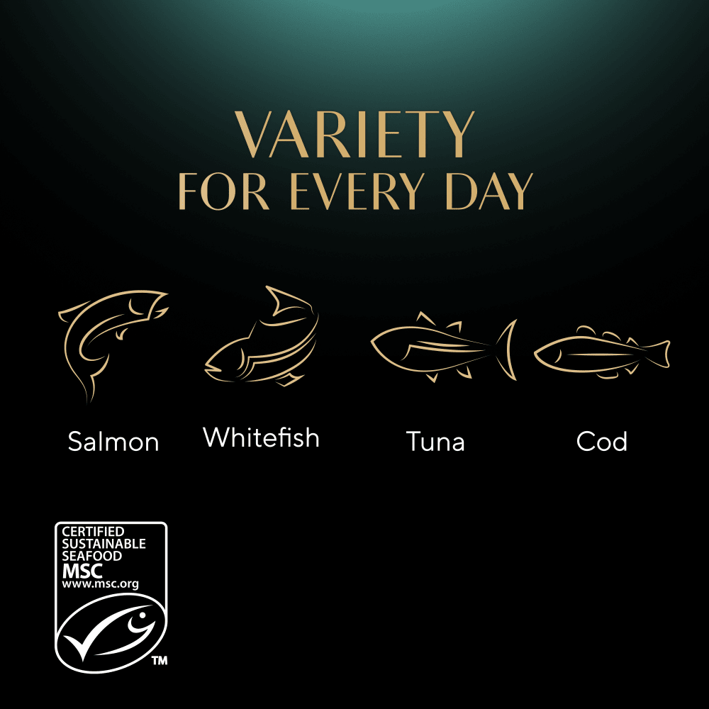 SHEBA® Sauce Collection Fish Selection 12 & 40 x 85g - 5